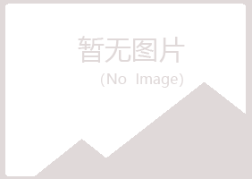 宜春字迹咨询有限公司